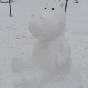 SchülerInnen am Skikurs