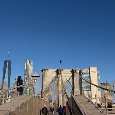 NY13