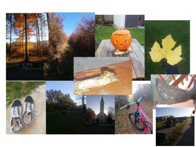Herbstcollage_Merth