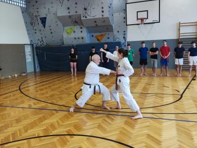 Karate in action
